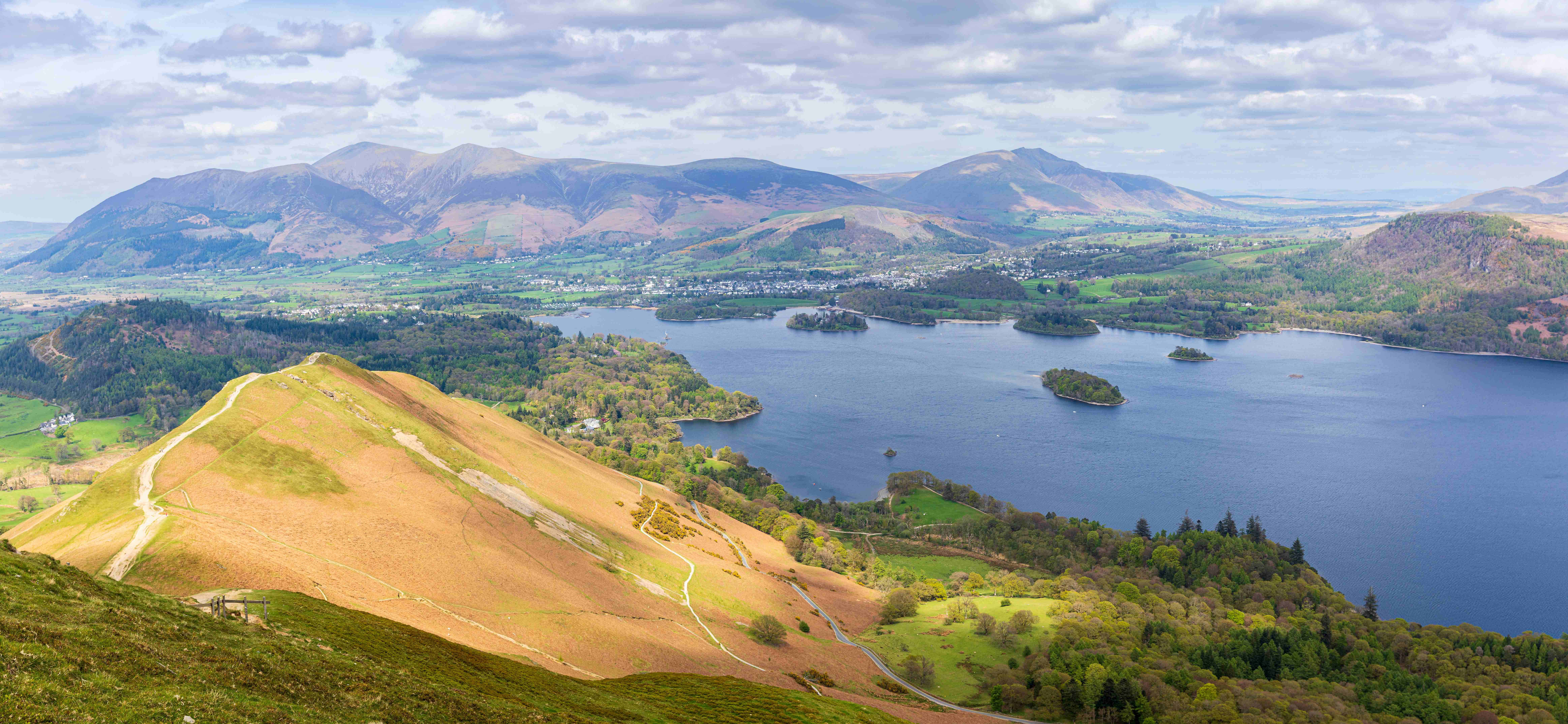 Cat Bells Circular 