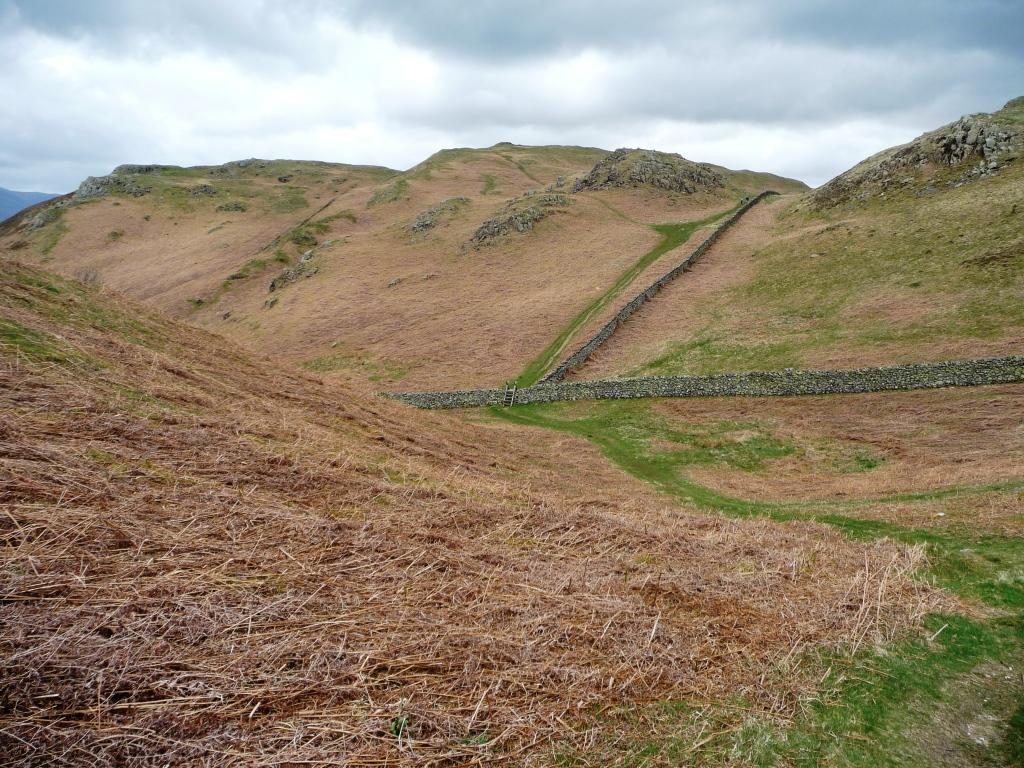 High Rigg and Wren Crag Circuit